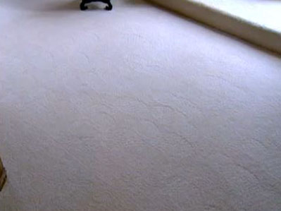 Carpet Before You Buy